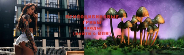 дурь Белокуриха