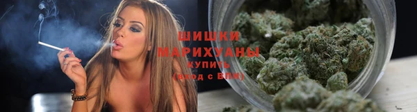 дурь Белокуриха