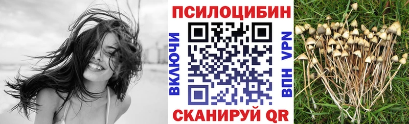 Псилоцибиновые грибы Psilocybine cubensis  купить   Пионерский 